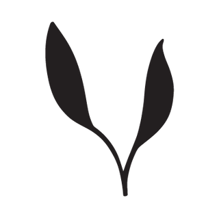 Two leaves, vegan