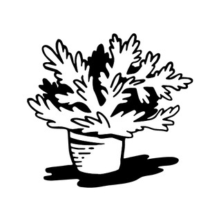 Citronella illustration