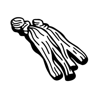 Red Ginseng root illustration