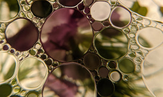 Close up image of cbd oil droplets